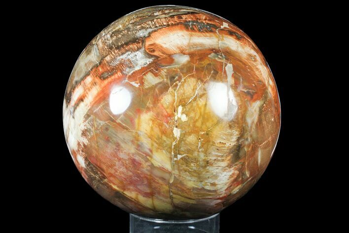 Large, Colorful Petrified Wood Sphere - Madagascar #133678